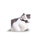 Japanese Pet Collar Kalung Kucing Anjing Jepang Pita Bow Tie Dasi Kupu Kupu Blue Pink Red Gray Biru Merah Muda Abu-Abu Lucu