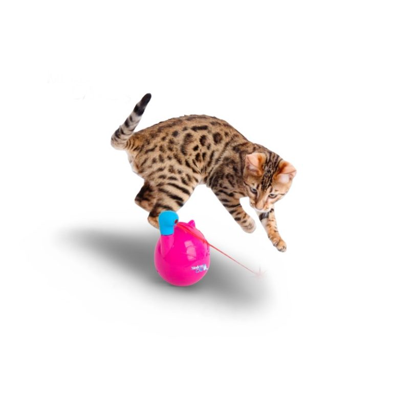 All For Paws AFP 360° Rotating Cat Wobble Laser Toy Mainan Kucing Interaktif Gerak Otomatis