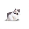 Japanese Pet Collar Kalung Kucing Anjing Jepang Pita Bow Tie Dasi Kupu Kupu Blue Pink Red Gray Biru Merah Muda Abu-Abu Lucu