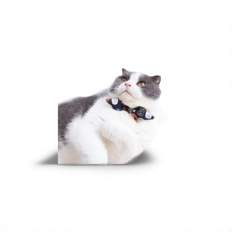 Japanese Pet Collar Kalung Kucing Anjing Jepang Pita Bow Tie Dasi Kupu Kupu Blue Pink Red Gray Biru Merah Muda Abu-Abu Lucu