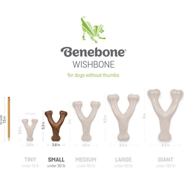 Benebone Wishbone Bacon Tough Chew Dog Toy Mainan Anjing Gigit Tulang - Image 4