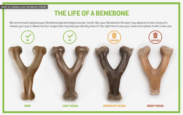 Benebone Wishbone Bacon Tough Chew Dog Toy Mainan Anjing Gigit Tulang - Image 5