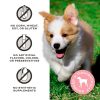 Primal Pet Foods FRIENDCHIPS MATTER Jerky Dog Treat Snack Anjing - Image 4