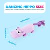 All For Paws AFP Ultrasonic Dog Toys Mainan Anjing Plush Silent Squeaker - Image 6