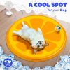 All For Paws AFP Chill Out Cooling  Gel Mat Kiwi Orange Alas Tempat Tidur Hewan Dingin Kasur Ranjang Anjing Kucing Dog Cat Mat - Image 7