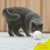 All For Paws AFP Rolling LED Laser Ball Interactive Cat Toy Mainan Kucing Interaktif Bola Laser Gerak - Image 4