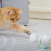 All For Paws AFP Rolling LED Laser Ball Interactive Cat Toy Mainan Kucing Interaktif Bola Laser Gerak - Image 5