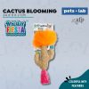 All For Paws AFP Cactus Blooming Interactive Cat Kicker Toy with Feathers Mainan Kucing Boneka Kaktus - Image 2