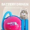 All For Paws AFP Cat Whirling Toy Mainan Kucing Interactive Otomatis Gerak Moving Ball - Image 5