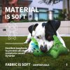 All For Paws AFP T-REX Dinosaurus Dog Toy Plush Mainan Anjing Boneka Dino Small Squeaker Bunyi Durable - Image 6