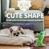 All For Paws AFP T-REX Dinosaurus Dog Toy Plush Mainan Anjing Boneka Dino Small Squeaker Bunyi Durable - Image 7