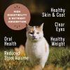 Primal Feline Nugget Cat Food Kucing Freeze Dried Chicken Salmon - Gambar 4