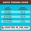Primal Feline Nugget Cat Food Kucing Freeze Dried Chicken Salmon - Gambar 5