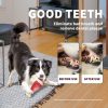 All For Paws AFP Bon Appetit Dental Chew Bone Nylon Rubber Mix Mainan Gigitan Anjing Tulang - Image 5
