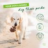 Benebone Fishbone Dog Dental Chew Toy Mainan Gigit Anjing Dental Fish Salmon Flavor Small Medium Large Giant Dog - Gambar 2