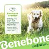 Benebone Fishbone Dog Dental Chew Toy Mainan Gigit Anjing Dental Fish Salmon Flavor Small Medium Large Giant Dog - Gambar 3