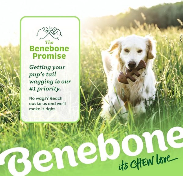 Benebone Fishbone Dog Dental Chew Toy Mainan Gigit Anjing Dental Fish Salmon Flavor Small Medium Large Giant Dog - Image 3