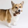 Benebone Fishbone Dog Dental Chew Toy Mainan Gigit Anjing Dental Fish Salmon Flavor Small Medium Large Giant Dog - Gambar 7