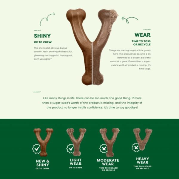 Benebone Fishbone Dog Dental Chew Toy Mainan Gigit Anjing Dental Fish Salmon Flavor Small Medium Large Giant Dog - Image 9