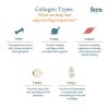Fera Pets Organic Collagen Plus Powder Joint Supplement for Dogs & Cats Suplemen Sendi Anjing Kucing Kolagen Ayam Bovine Marine - Gambar 4