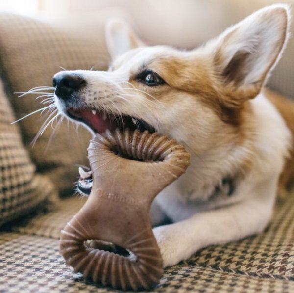 Benebone Dental Chew Tough Dog Toy Mainan Gigit Anjing Bacon Tulang - Image 2