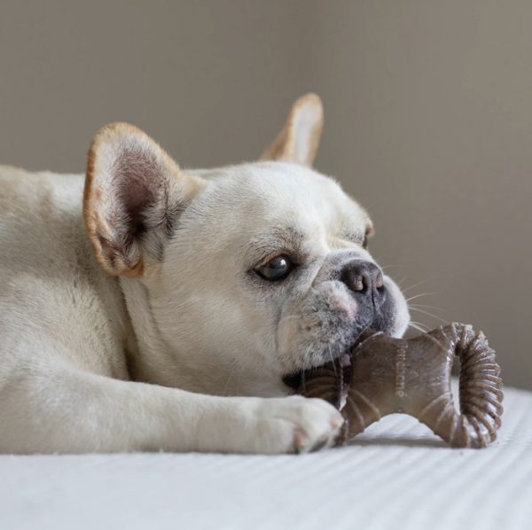 Benebone Dental Chew Tough Dog Toy Mainan Gigit Anjing Bacon Tulang - Image 8