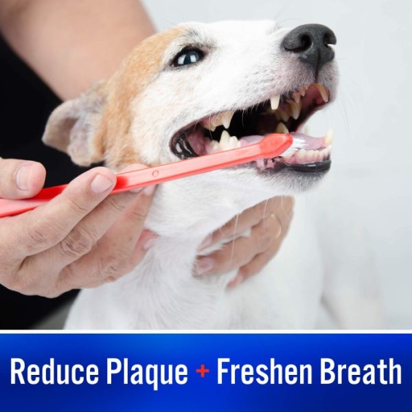 Virbac, C.E.T Enzymatic Toothpaste Dogs Cats Pasta Gigi Anjing Kucing - Image 4
