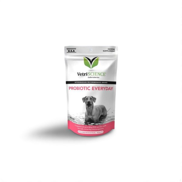 VetriScience Probiotic Everyday Dogs Probiotik Anjing Lambung Gas