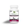 VetriScience Renal Essentials Dog Kidney Suplemen Ginjal Anjing