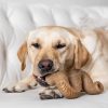 Benebone Beef Tripe Bone Dental Chew Mainan Gigit Anjing Dog Toys - Image 3