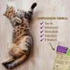 Pet Naturals of Vermont Daily Multi Cat Multivitamin Kucing Taurine - Image 3