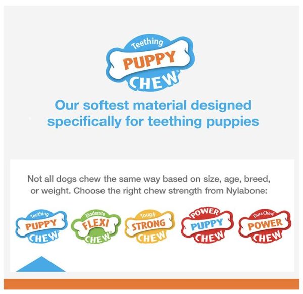 Nylabone Puppy Teething X Bone Mainan Gigit Anak Anjing Beef Flavored - Image 4