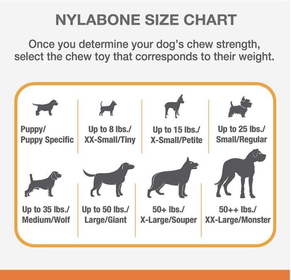 Nylabone Puppy Teething X Bone Mainan Gigit Anak Anjing Beef Flavored - Image 5