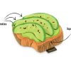 P.L.A.Y. Pet Play Barking Brunch Mainan Boneka Anjing Avocado Toast - Image 2