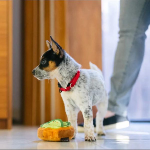 P.L.A.Y. Pet Play Barking Brunch Mainan Boneka Anjing Avocado Toast - Image 4