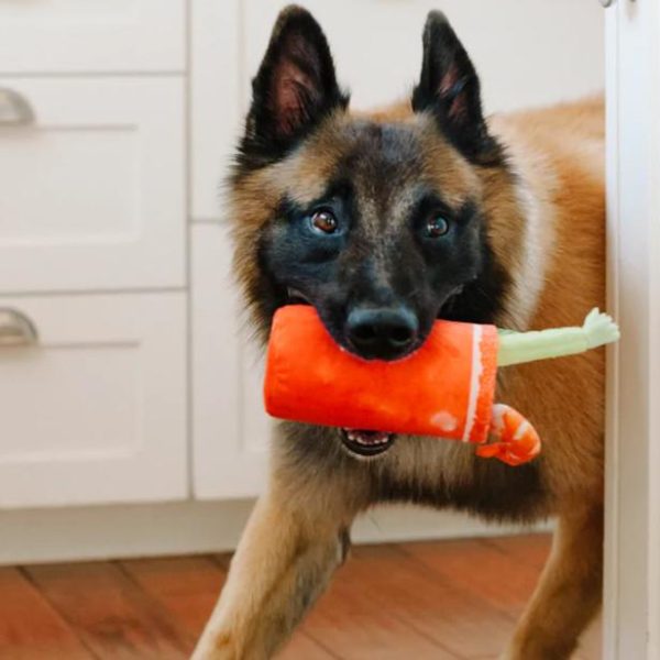 P.L.A.Y. Pet Play Barking Brunch Mainan Boneka Anjing Buddy Marry Toys - Image 3