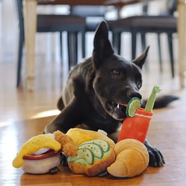 P.L.A.Y. Pet Play Barking Brunch Mainan Boneka Anjing Buddy Marry Toys - Image 5
