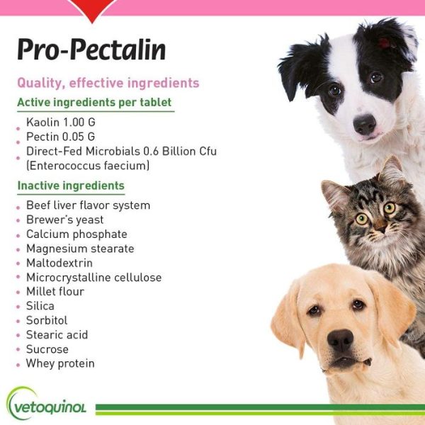 Vetoquinol Pro-Pectalin Kaolin Pectin Diare Anjing Kucing Probiotik - Image 3