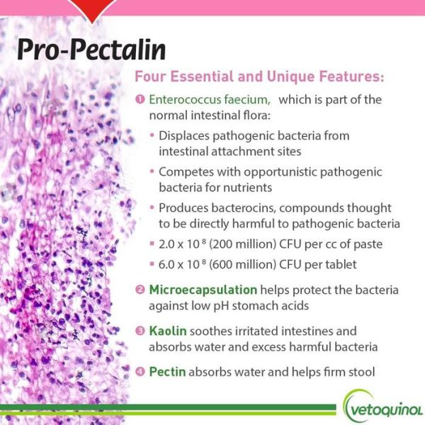 Vetoquinol Pro-Pectalin Kaolin Pectin Diare Anjing Kucing Probiotik - Image 4