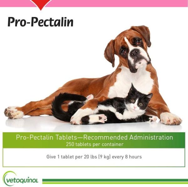 Vetoquinol Pro-Pectalin Kaolin Pectin Diare Anjing Kucing Probiotik - Image 5
