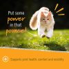 Pet Naturals Hip + Joint Cat Suplemen Sendi Kucing Tua Glucosamine MSM - Image 3