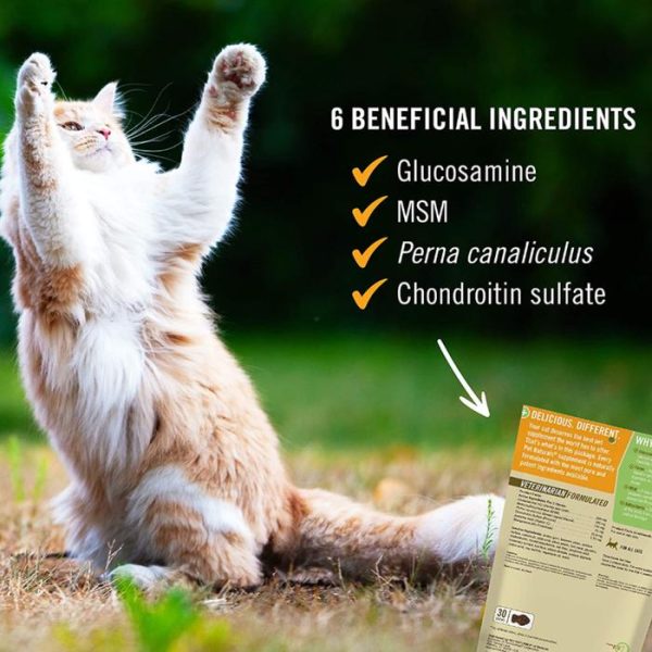 Pet Naturals Hip + Joint Cat Suplemen Sendi Kucing Tua Glucosamine MSM - Image 4