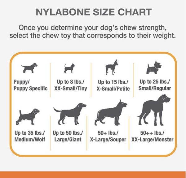 Nylabone FlexiChew Dog Bone Dental Kit Chew Mainan Gigit Anjing Kecil - Image 3