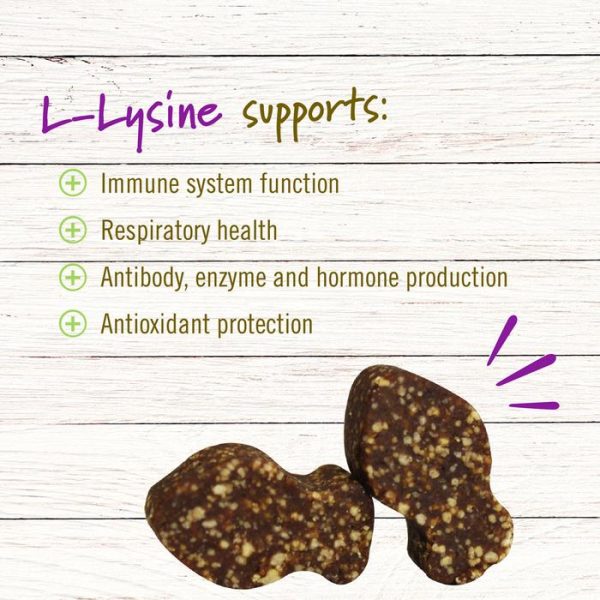 Pet Naturals of Vermont, L-Lysine, For Cats Lysine Multivitamin Kucing - Image 5
