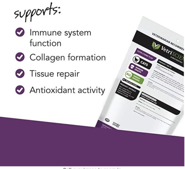 VetriScience, Vetri L-Lysine Plus Immune Support Cat Kucing Kitten - Image 4