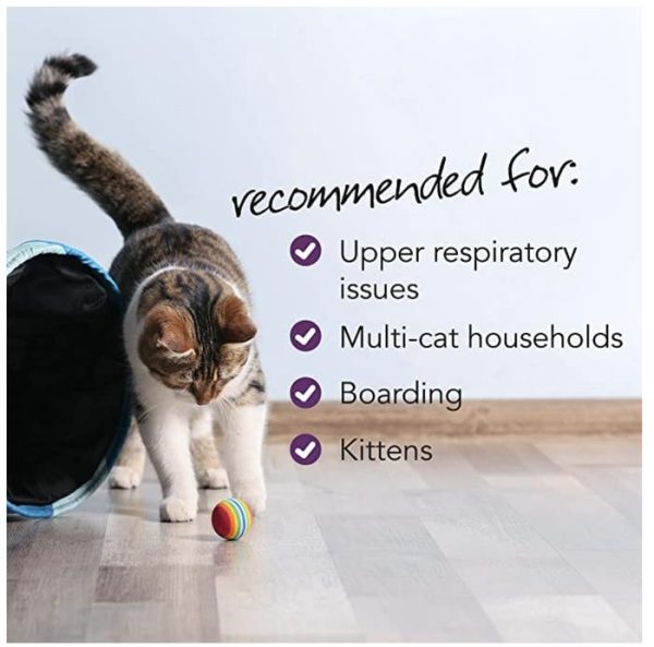VetriScience, Vetri L-Lysine Plus Immune Support Cat Kucing Kitten - Image 5