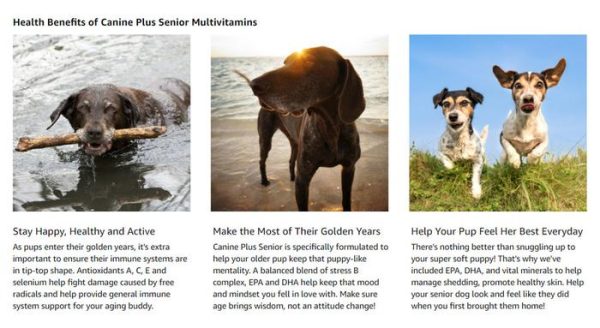 VetriScience Laboratories, Canine Plus Senior Multivitamin Anjing Tua - Image 4