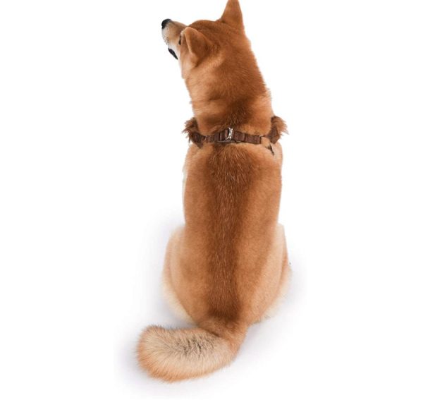 Star Wars Chewbacca Dog Cat Harness Anjing Kucing Baju Aksesoris - Image 5