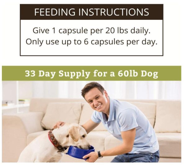 Wholistic Pet Organics Wild Salmon Oil Dog Cat Fish Oil Anjing Kucing - Image 4