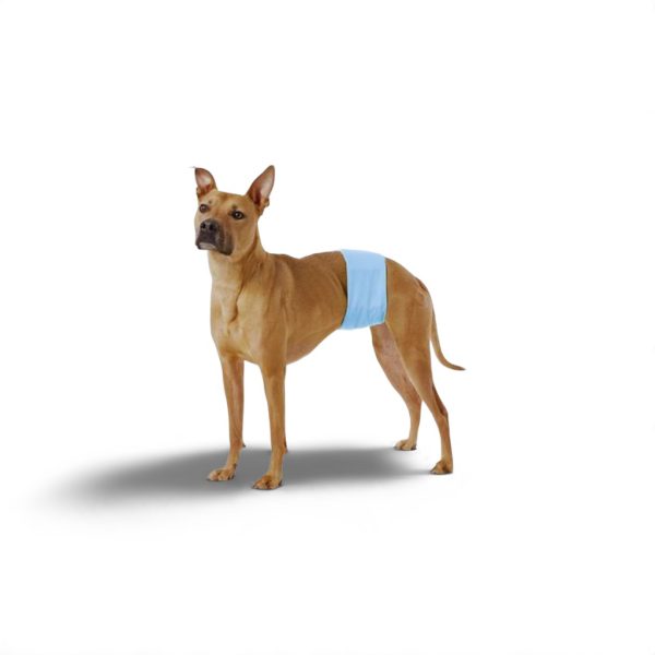 Pet Magasin Dog Male Diaper Belly Wrap Popok Anjing Jantan Cuci Wash